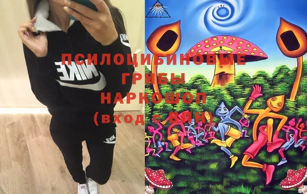 бошки Лиски